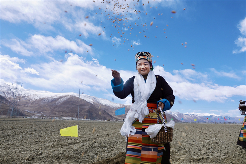 Xizang : les labours de printemps ont commencé