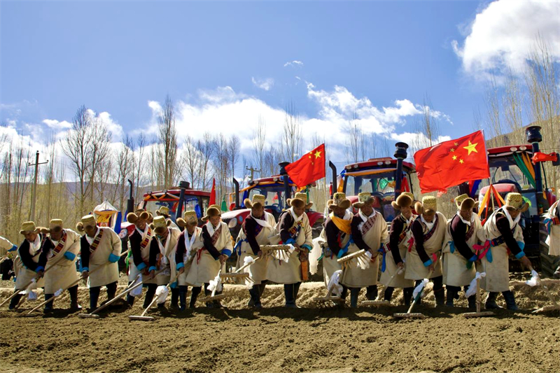 Xizang : les labours de printemps ont commencé