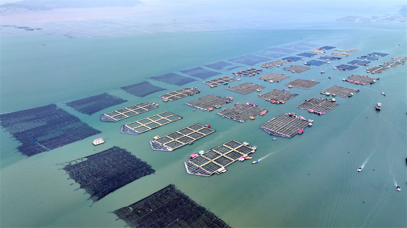 Fujian : le « grenier » marin de Ningde