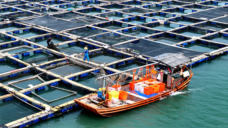 Fujian : le « grenier » marin de Ningde