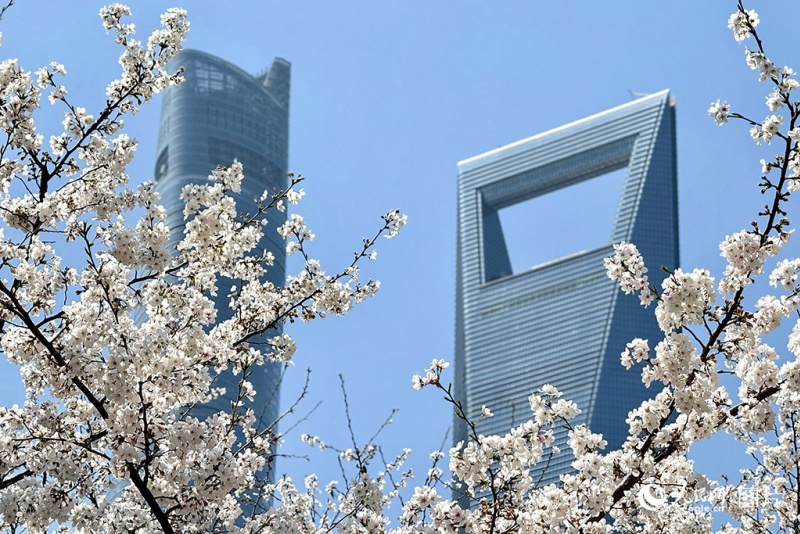Les fleurs de printemps s'épanouissent, remplissant l'air de parfums et émerveillant les yeux