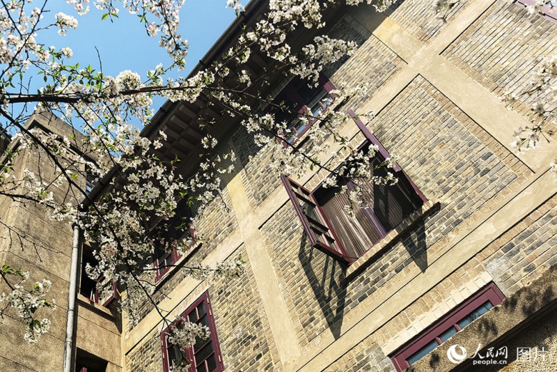 Les fleurs de printemps s'épanouissent, remplissant l'air de parfums et émerveillant les yeux