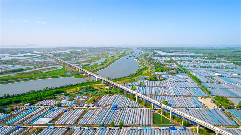 Anhui : les belles images de l'espoir au printemps à Hefei