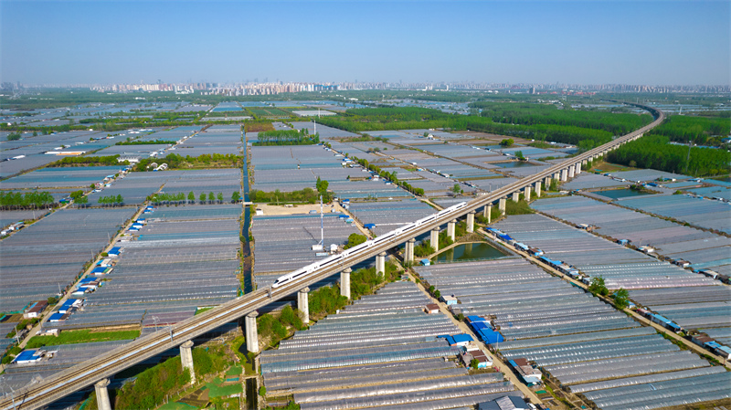 Anhui : les belles images de l'espoir au printemps à Hefei