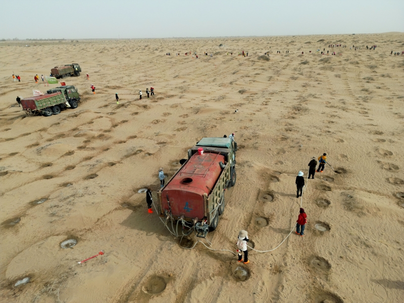 Gansu : « allez à Minqin pour planter un arbre »