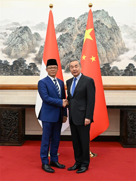 Le ministre chinois des AE s'entretient avec son homologue indonésien