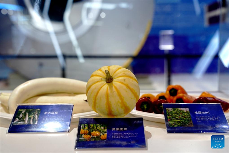 Une exposition scientifique marquant la 10e Journée de l'espace de Chine organisée à Shanghai