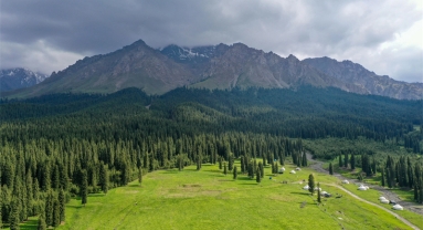 La Chine restaure 3,07 millions d'hectares de prairies par an