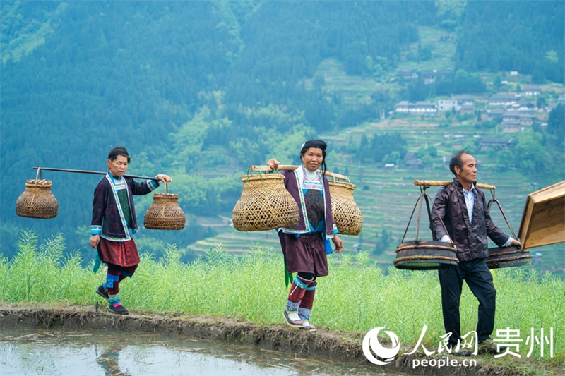 Guizhou : à Congjiang, les podiums de mode s'installent dans les rizières