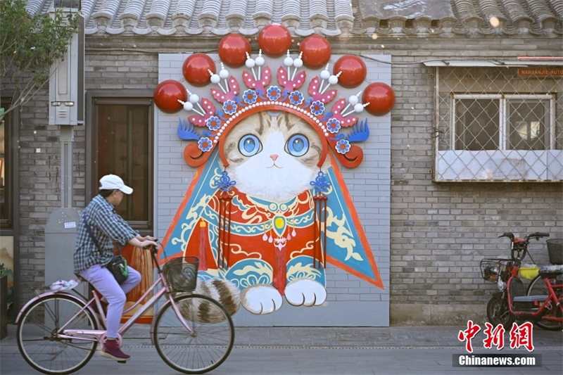 En photos : le nouveau romantisme des vieux hutongs de Beijing