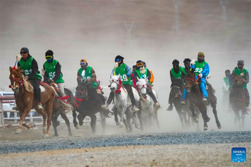 Xizang : des courses de chevaux organisées dans le comté de Damxung