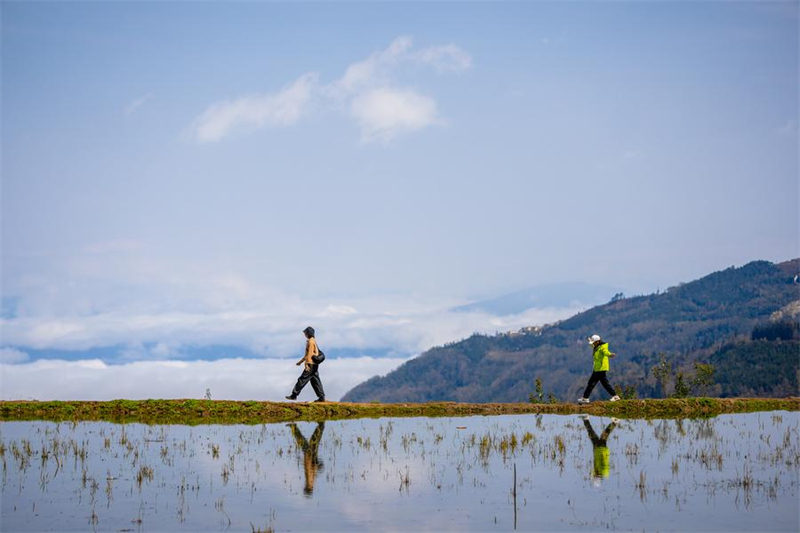 Yunnan : vieux de 1 300 ans, l'écosystème agricole des Hani est toujours bien vivant