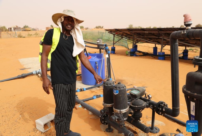 Comment les techniques de contrôle du désert chinoises stimulent les efforts d'écologisation de la Mauritanie