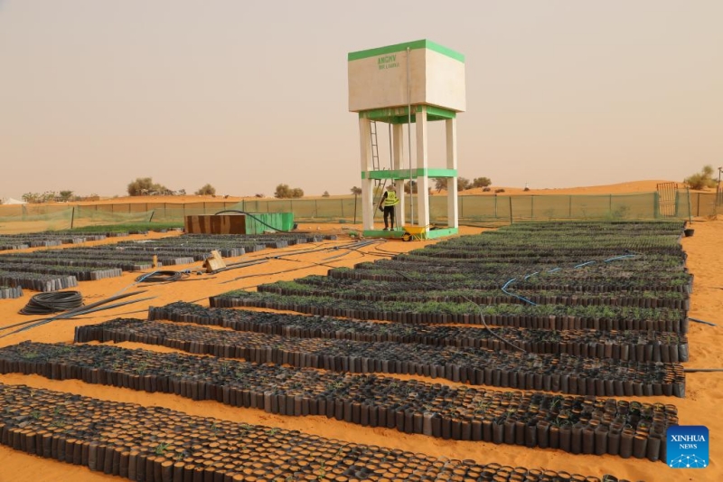 Comment les techniques de contrôle du désert chinoises stimulent les efforts d'écologisation de la Mauritanie