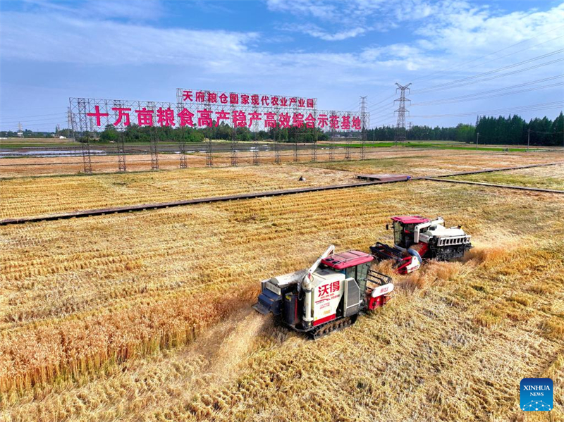 (Photo / Xinhua)