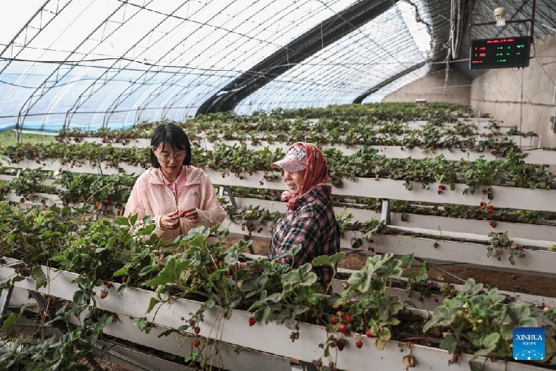 Liaoning : une fille suit les traces de son père pour revitaliser sa ville natale