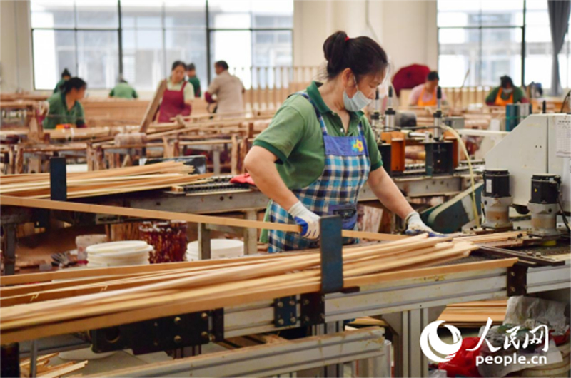 Jiangxi :  vendre du bambou au monde, ou comment une industrie verte se développe à Ganzhou