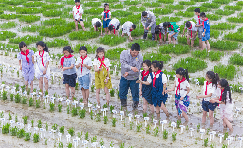 (Photo/Pic.people.com.cn)