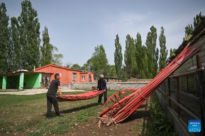Xinjiang :  la transhumance d'été d'un berger et de son troupeau