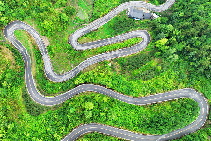 Chongqing : à Youyang, les « quatre bonnes routes » contribuent à la revitalisation rurale des zones rurales