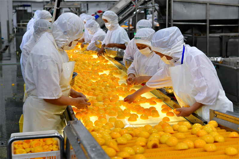 (Photo/Pic.people.com.cn)