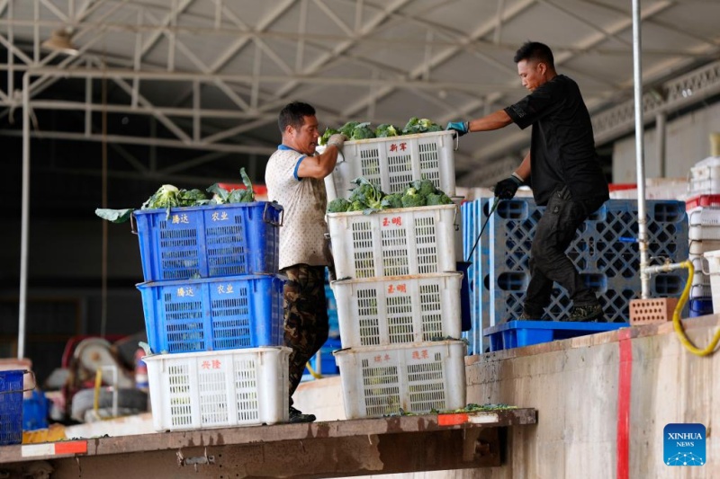 Ningxia : l'industrie des légumes de saison fraîche en plein développement à Guyan