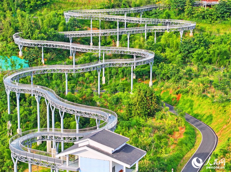 Jiangxi : un « corridor flottant dans la forêt » devient un endroit de choix pour le fitness et les loisirs à Chongyi