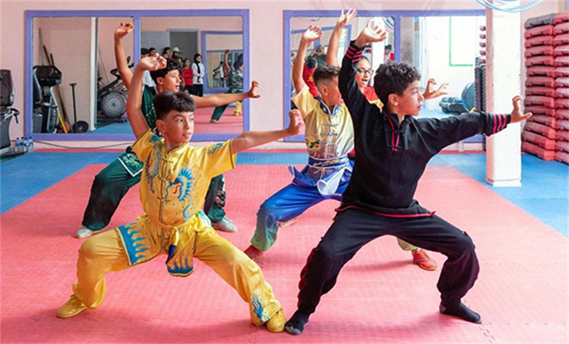 En visite dans une école de kung-fu en Tunisie