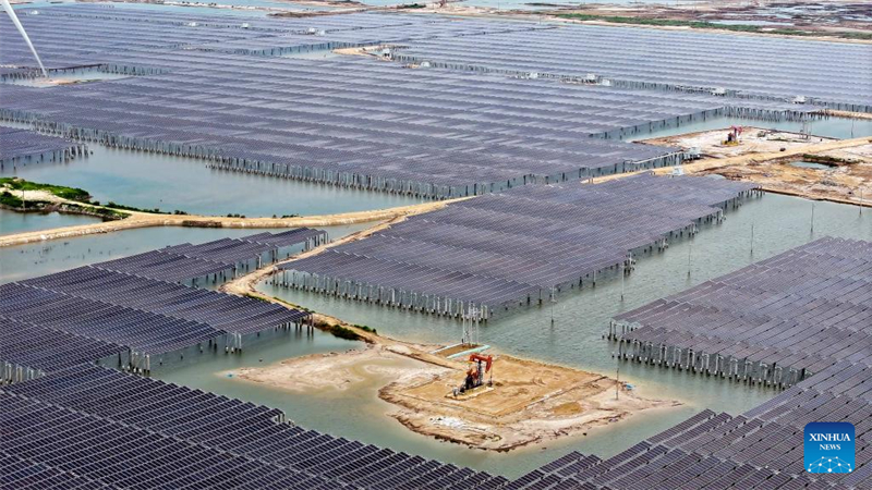 Shandong : la ville de Dongying utilise des terres de champ pétrolifères en friche pour développer des énergies propres