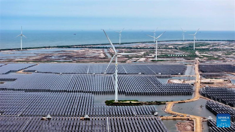 Shandong : la ville de Dongying utilise des terres de champ pétrolifères en friche pour développer des énergies propres