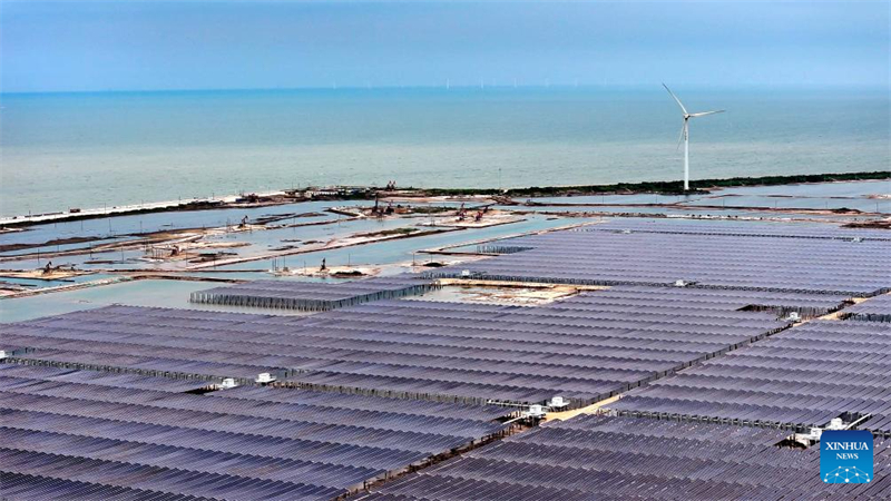 Shandong : la ville de Dongying utilise des terres de champ pétrolifères en friche pour développer des énergies propres