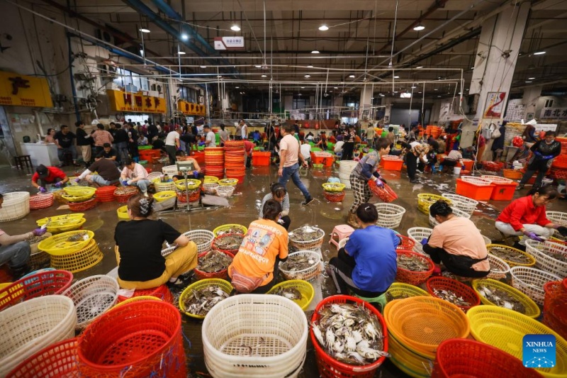 Des commerçants trient et emballent des crabes nageurs frais sur un marché de produits aquatiques à Zhoushan, dans la province du Zhejiang (est de la Chine), le 12 août 2025. (Xu Yu/Xinhua)