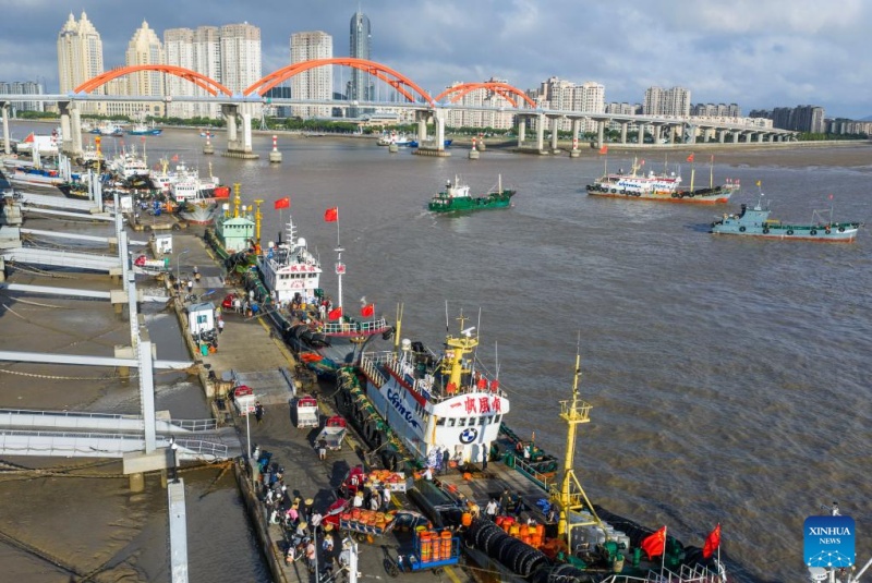 Zhejiang : la récolte des crabes nageurs à Zhoushan