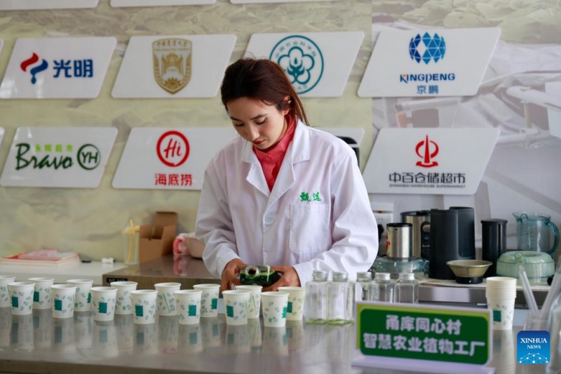 Xinjiang : une ferme intelligente de style usine à Kuqa