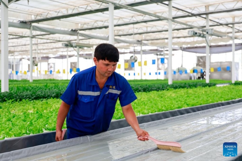 Xinjiang : une ferme intelligente de style usine à Kuqa