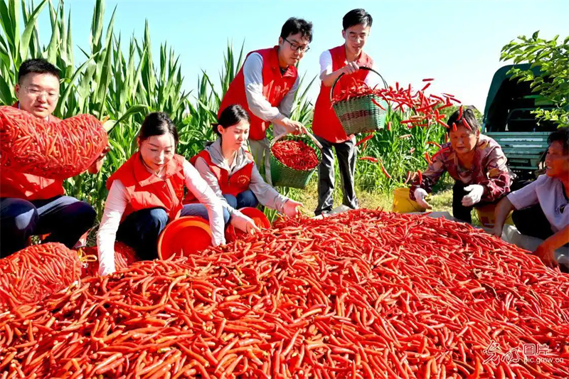 (Liu Qinli/GuangMing Daily)
