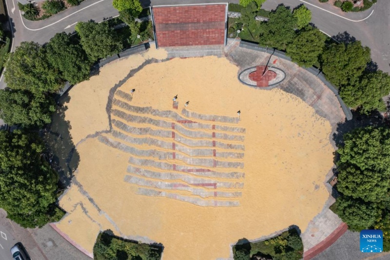 Chongqing : des agriculteurs font sécher des céréales dans une enceinte administrative du district de Yongchuan