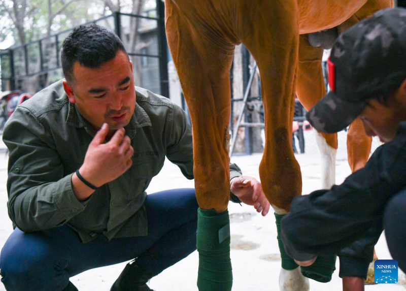 Xinjiang : histoire en images d'un dresseur de chevaux