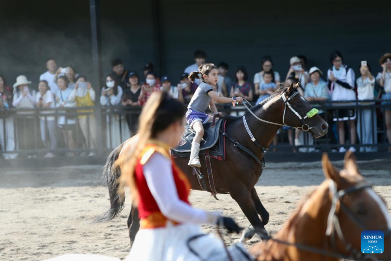 Xinjiang : histoire en images d'un dresseur de chevaux