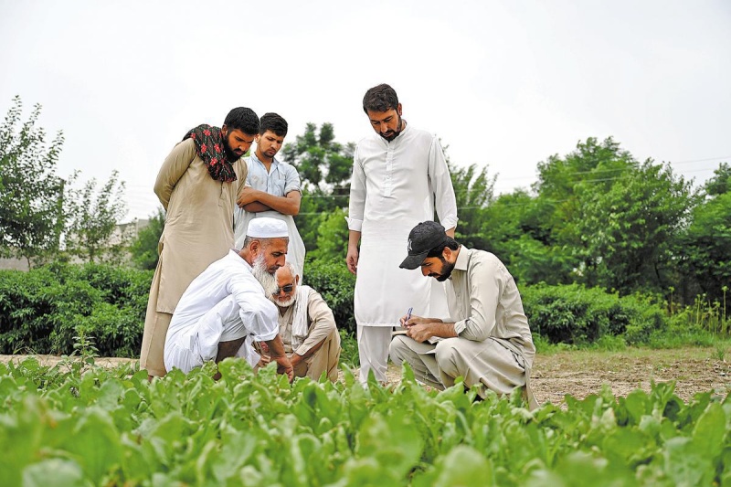 (DANIYAL KHAN JADOON/Xinhua)
