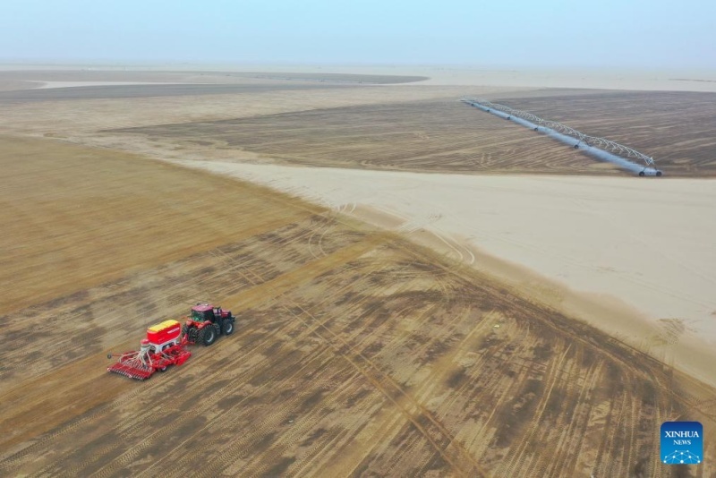 Xinjiang : la base de démonstration de plantation de la luzerne de Hotan, source d'approvisionnement stable en fourrage