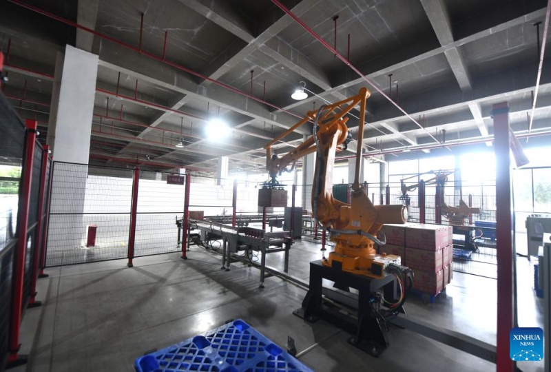 Guangxi : les Luosifen, une spécialité de rue de Liuzhou qui dynamise la vitalité industrielle régionale