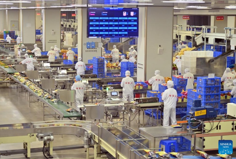 Guangxi : les Luosifen, une spécialité de rue de Liuzhou qui dynamise la vitalité industrielle régionale