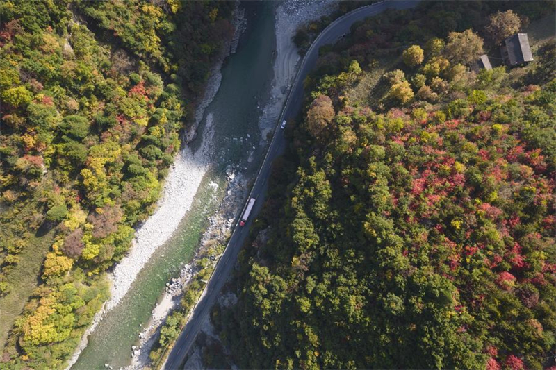Photo aérienne prise le 18 octobre 2022 montrant un paysage d'automne des monts Qinling dans le comté de Zhouzhi de la province du Shaanxi (nord-ouest de la Chine). (Shao Rui/Xinhua)
