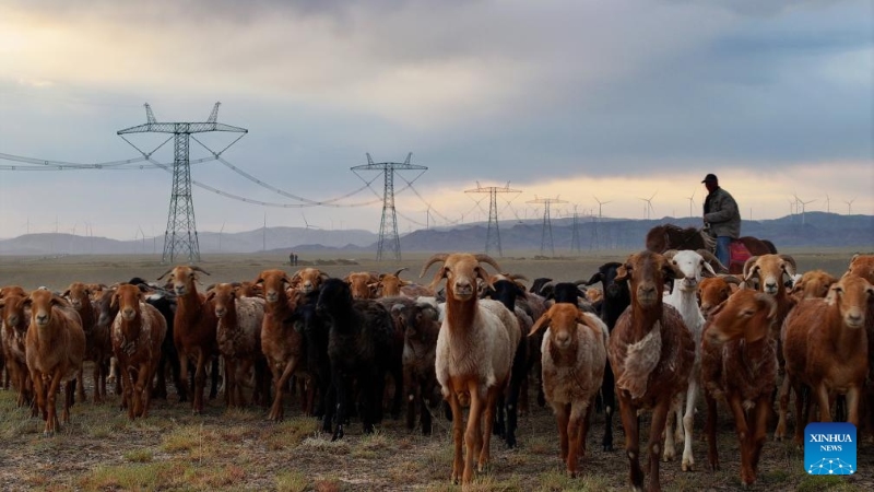 Comment le Xinjiang transforme ses déserts en mines d'or d'énergie renouvelable
