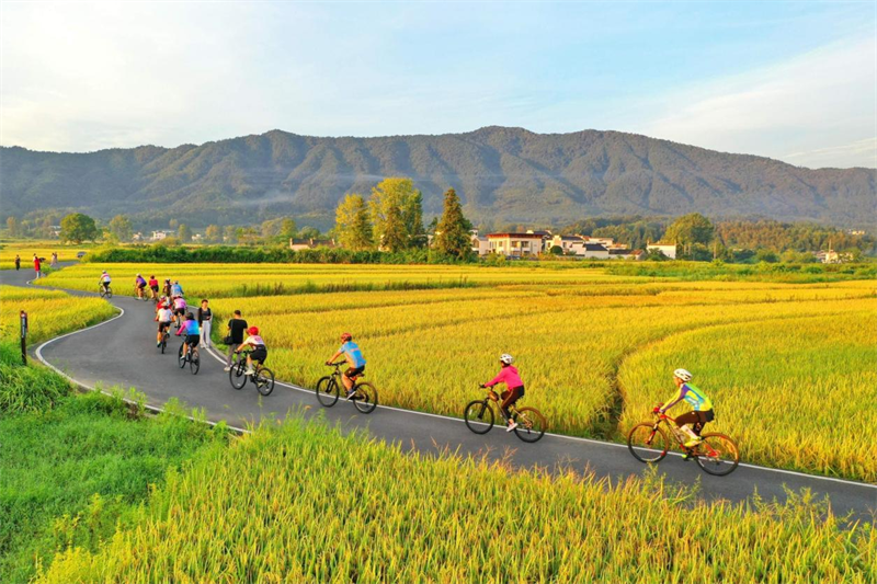 La Chine adopte la mobilité à deux roues comme solution de transport urbain écologique