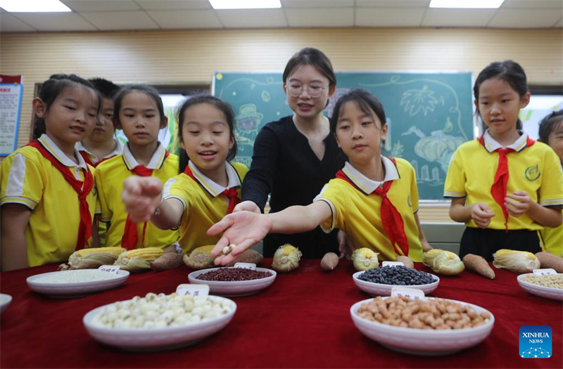 Des événements thématiques organisés dans toute la Chine pour la Journée mondiale de l'alimentation
