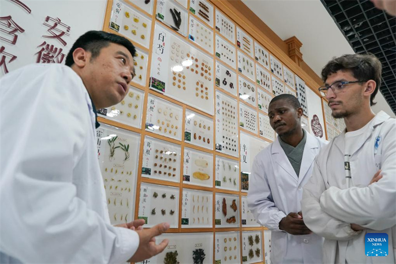 Anhui : des étudiants étrangers apprennent la médecine traditionnelle chinoise à Hefei