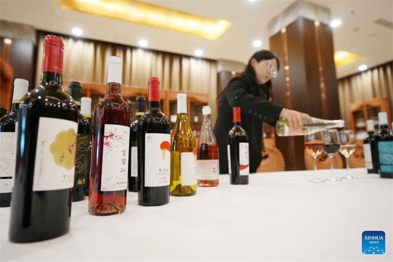 Ningxia : la ville de Minning prospère grâce au vin dans un contexte de transformation écologique