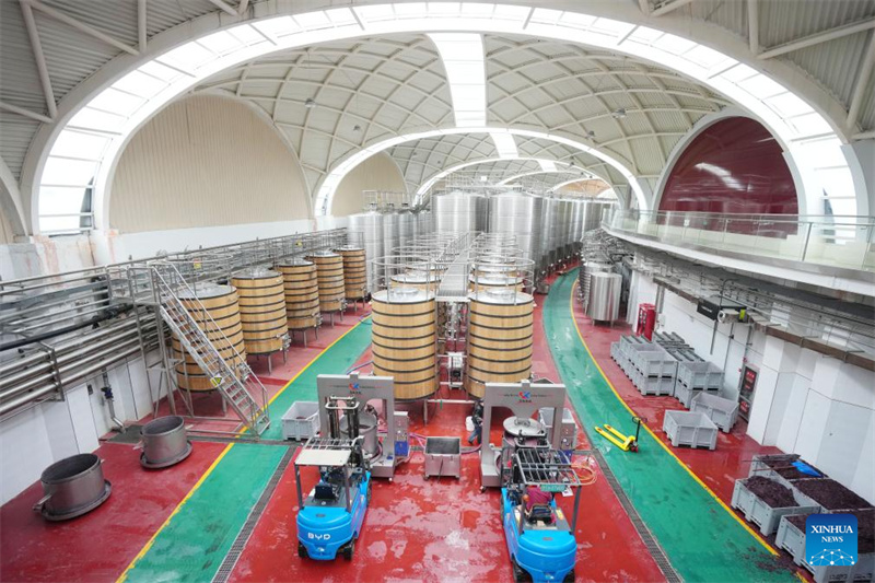 Ningxia : la ville de Minning prospère grâce au vin dans un contexte de transformation écologique